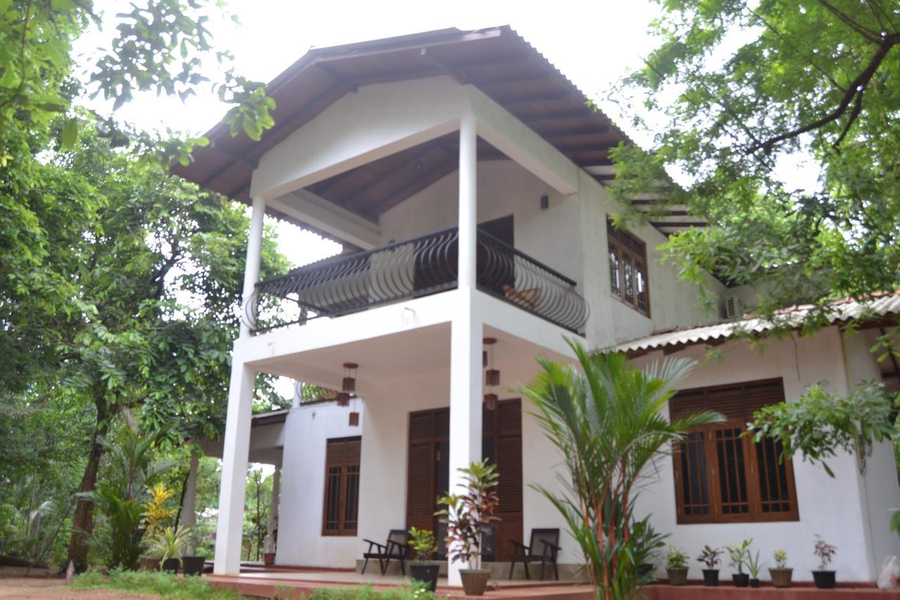 Nice To Meet Home Stay Habarana Dış mekan fotoğraf